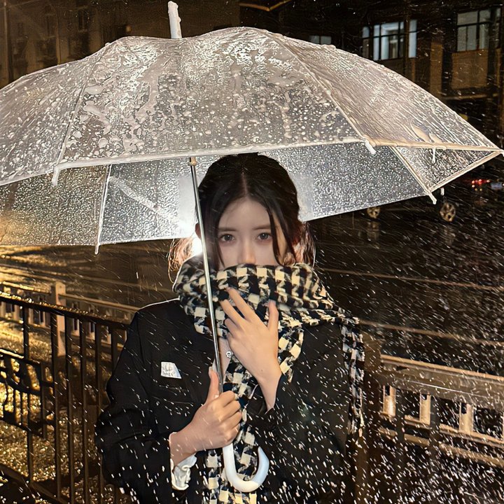 家庭圣女